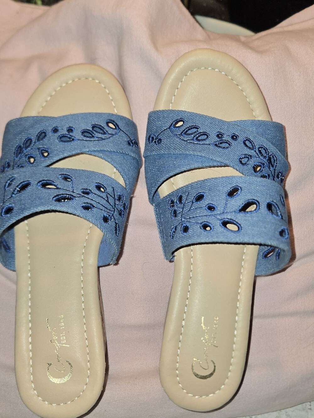 Embroidered Blue Slide Sandals with Cushioned Footbed